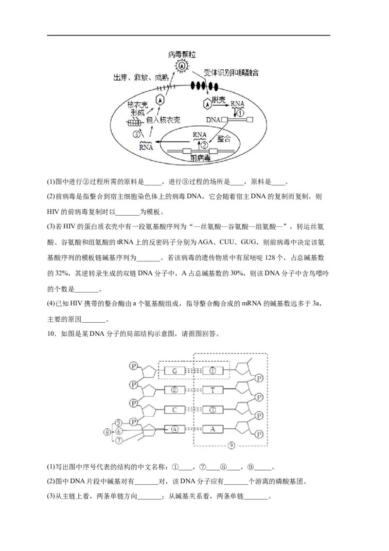 易错点13DNA的结构及复制-备战2023年高考生物考试易错题（新教材新高考）（原卷版）_新高考复习资料_2023年新高考复习资料_专项复习_备战2023年高考生物考试易错题（新教材新高考）