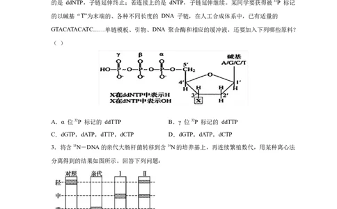 易错点13DNA的结构及复制-备战2023年高考生物考试易错题（新教材新高考）（原卷版）_新高考复习资料_2023年新高考复习资料_专项复习_备战2023年高考生物考试易错题（新教材新高考）