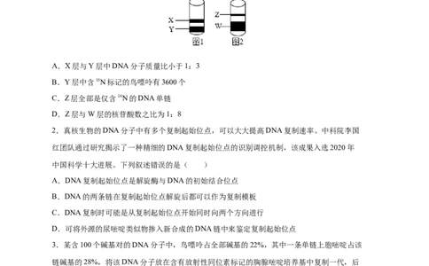 易错点13DNA的结构及复制-备战2023年高考生物考试易错题（新教材新高考）（原卷版）_新高考复习资料_2023年新高考复习资料_专项复习_备战2023年高考生物考试易错题（新教材新高考）