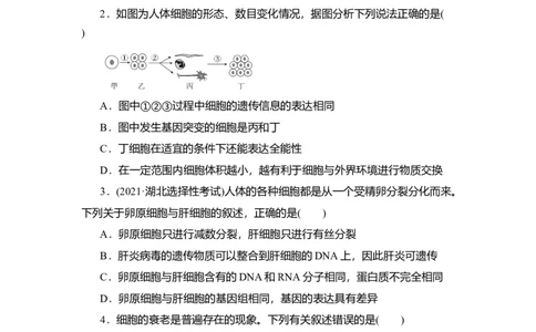 夯基提能练13细胞的分化、衰老、凋亡及癌变-备战2023高考生物一轮复习夯基提能练（全国通用）（解析版）_通用版（老高考）复习资料_2023年复习资料_一轮复习