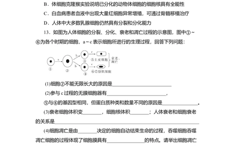 夯基提能练13细胞的分化、衰老、凋亡及癌变-备战2023高考生物一轮复习夯基提能练（全国通用）（解析版）_通用版（老高考）复习资料_2023年复习资料_一轮复习