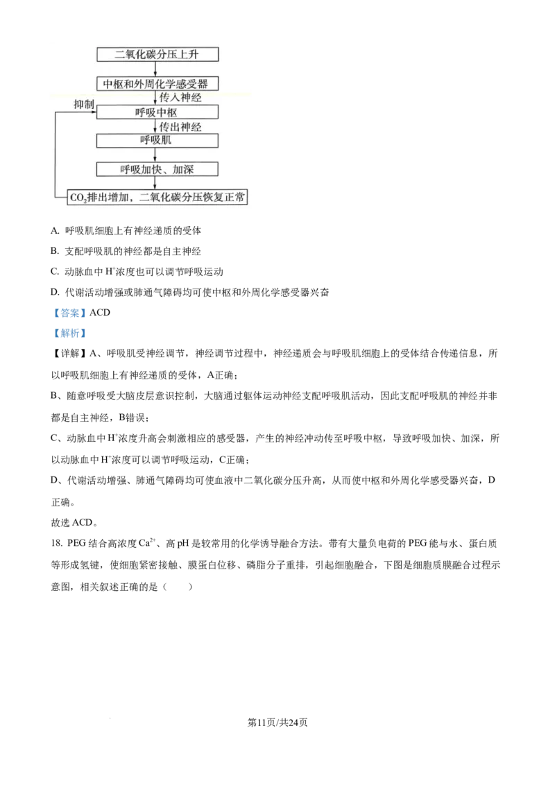 精品解析：2026届江苏省南京市六合区名校联盟高三一模生物试题（解析版）_2024-2026高三（6-6月题库）_2026年03月高三试卷_2603042026届江苏南京市六合区名校联盟高三下学期一模试题