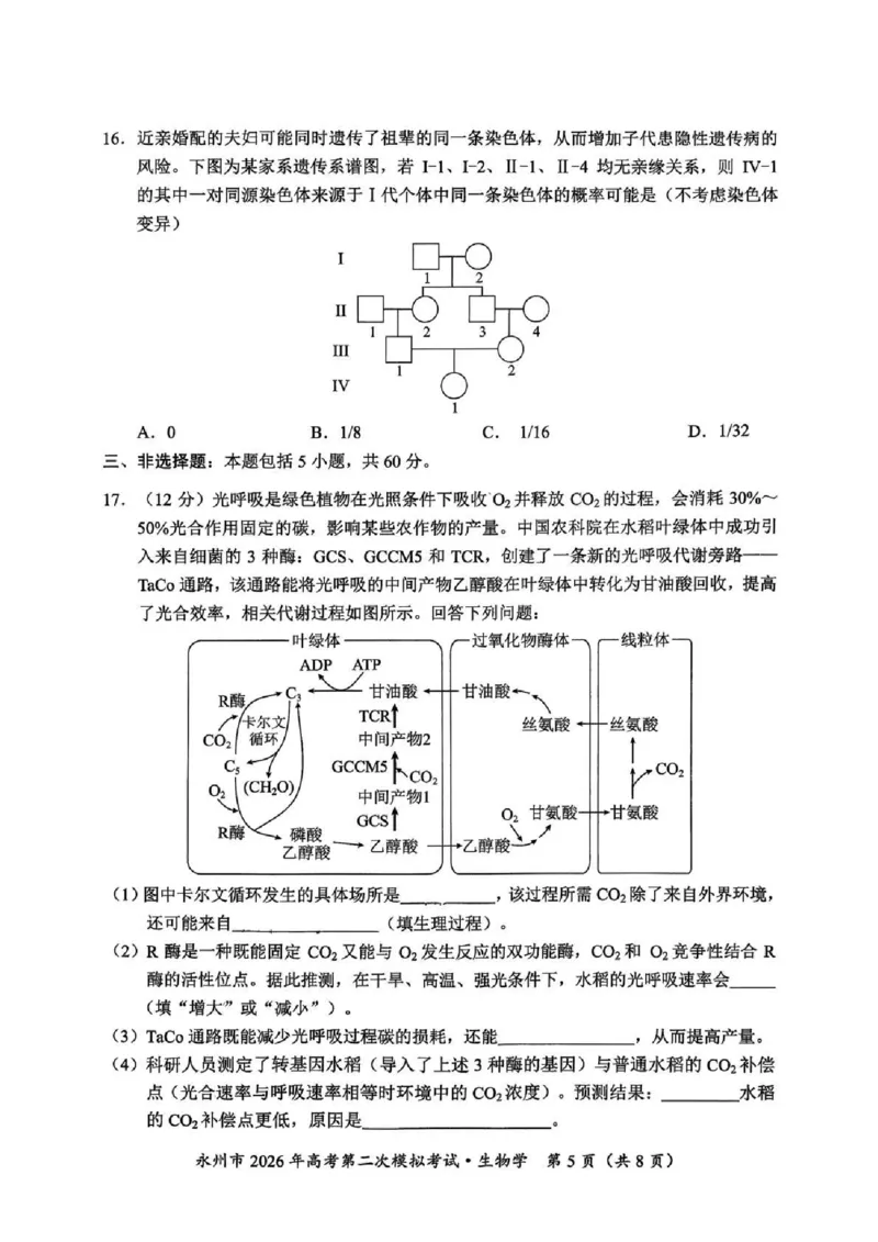 永州市2026年高考第二次模拟考试生物_2024-2026高三（6-6月题库）_2026年02月高三试卷_260202湖南省永州市2026年高考第二次模拟考试（全科）