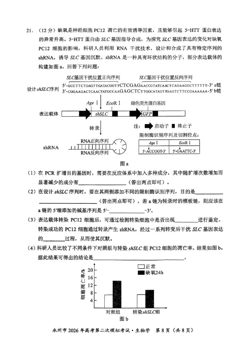 永州市2026年高考第二次模拟考试生物_2024-2026高三（6-6月题库）_2026年02月高三试卷_260202湖南省永州市2026年高考第二次模拟考试（全科）