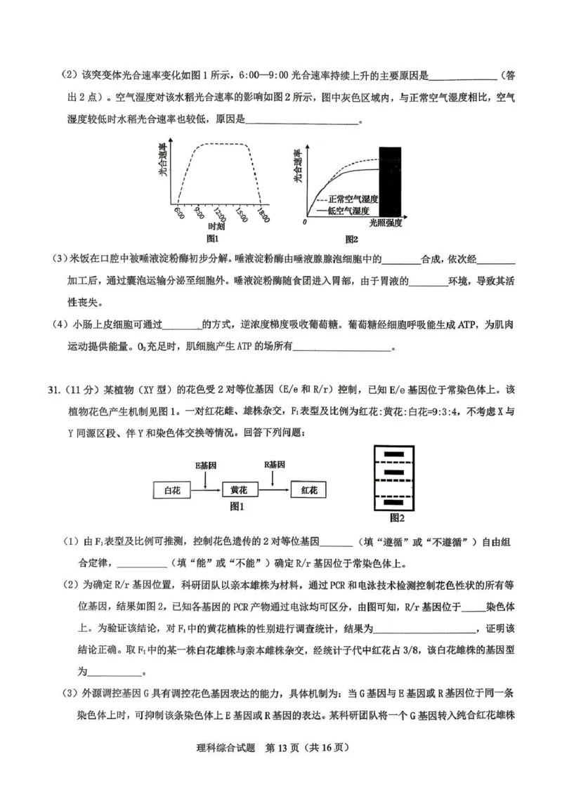 拉萨市2026届高三第二次联考理综_2024-2026高三（6-6月题库）_2026年04月高三试卷_260420西藏拉萨市2026届高三第二次联考（拉萨二模）（全科）