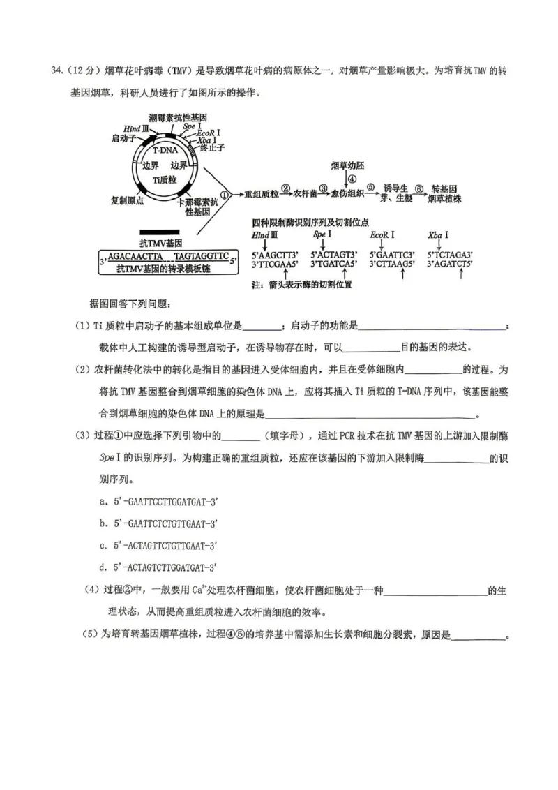 拉萨市2026届高三第二次联考理综_2024-2026高三（6-6月题库）_2026年04月高三试卷_260420西藏拉萨市2026届高三第二次联考（拉萨二模）（全科）