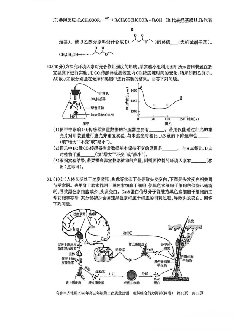 乌鲁木齐地区2026年高三年级第二次质量监测理综_2024-2026高三（6-6月题库）_2026年03月高三试卷_260328新疆乌鲁木齐地区2026年高三年级第二次质量监测（全科）