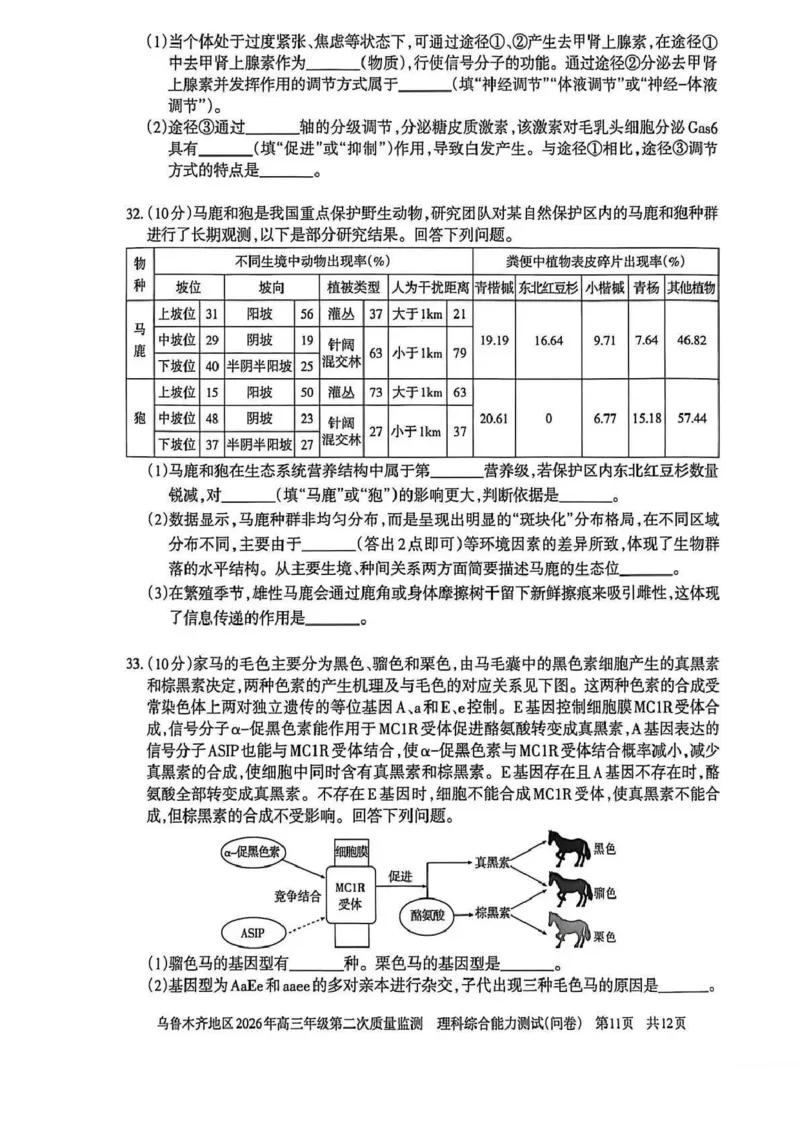 乌鲁木齐地区2026年高三年级第二次质量监测理综_2024-2026高三（6-6月题库）_2026年03月高三试卷_260328新疆乌鲁木齐地区2026年高三年级第二次质量监测（全科）