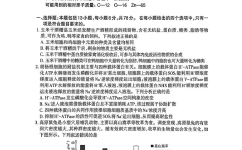 乌鲁木齐地区2026年高三年级第二次质量监测理综_2024-2026高三（6-6月题库）_2026年03月高三试卷_260328新疆乌鲁木齐地区2026年高三年级第二次质量监测（全科）