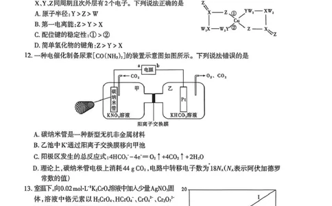 乌鲁木齐地区2026年高三年级第二次质量监测理综_2024-2026高三（6-6月题库）_2026年03月高三试卷_260328新疆乌鲁木齐地区2026年高三年级第二次质量监测（全科）