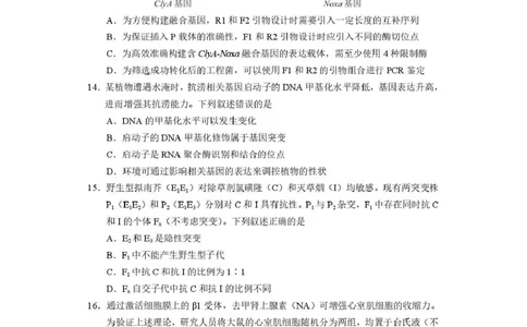 生物-河南省2026届高三下学期高考适应性考试_2024-2026高三（6-6月题库）_2026年04月高三试卷_260407河南省2026届高三下学期高考适应性考试（全科）