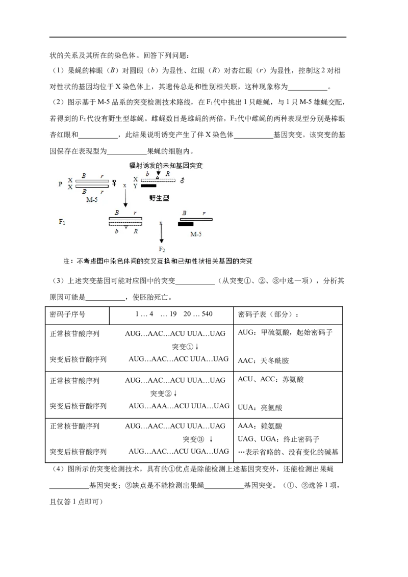 易错点17关于变异与育种的遗传题（原卷版）_通用版（老高考）复习资料_2023年复习资料_专项复习_备战2023年高考生物考试易错题（全国通用）_易错点17关于变异与育种的遗传题