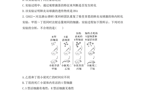 夯基提能练18DNA是主要的遗传物质-备战2023高考生物一轮复习夯基提能练（全国通用）（解析版）_通用版（老高考）复习资料_2023年复习资料_一轮复习