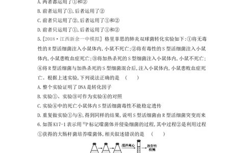 夯基提能练18DNA是主要的遗传物质-备战2023高考生物一轮复习夯基提能练（全国通用）（解析版）_通用版（老高考）复习资料_2023年复习资料_一轮复习