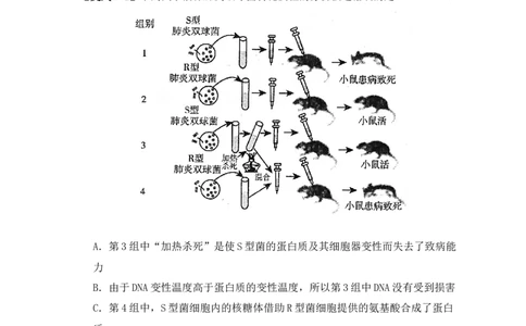 易错点02蛋白质和核酸的三个理解误区（原卷版）_新高考复习资料_2024年新高考复习资料_❤专项复习资料_完备战2024年高考生物考试易错题（新高考专用）