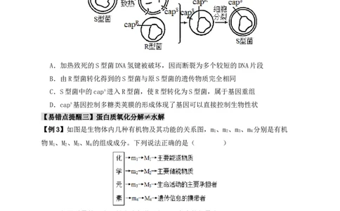 易错点02蛋白质和核酸的三个理解误区（原卷版）_新高考复习资料_2024年新高考复习资料_❤专项复习资料_完备战2024年高考生物考试易错题（新高考专用）