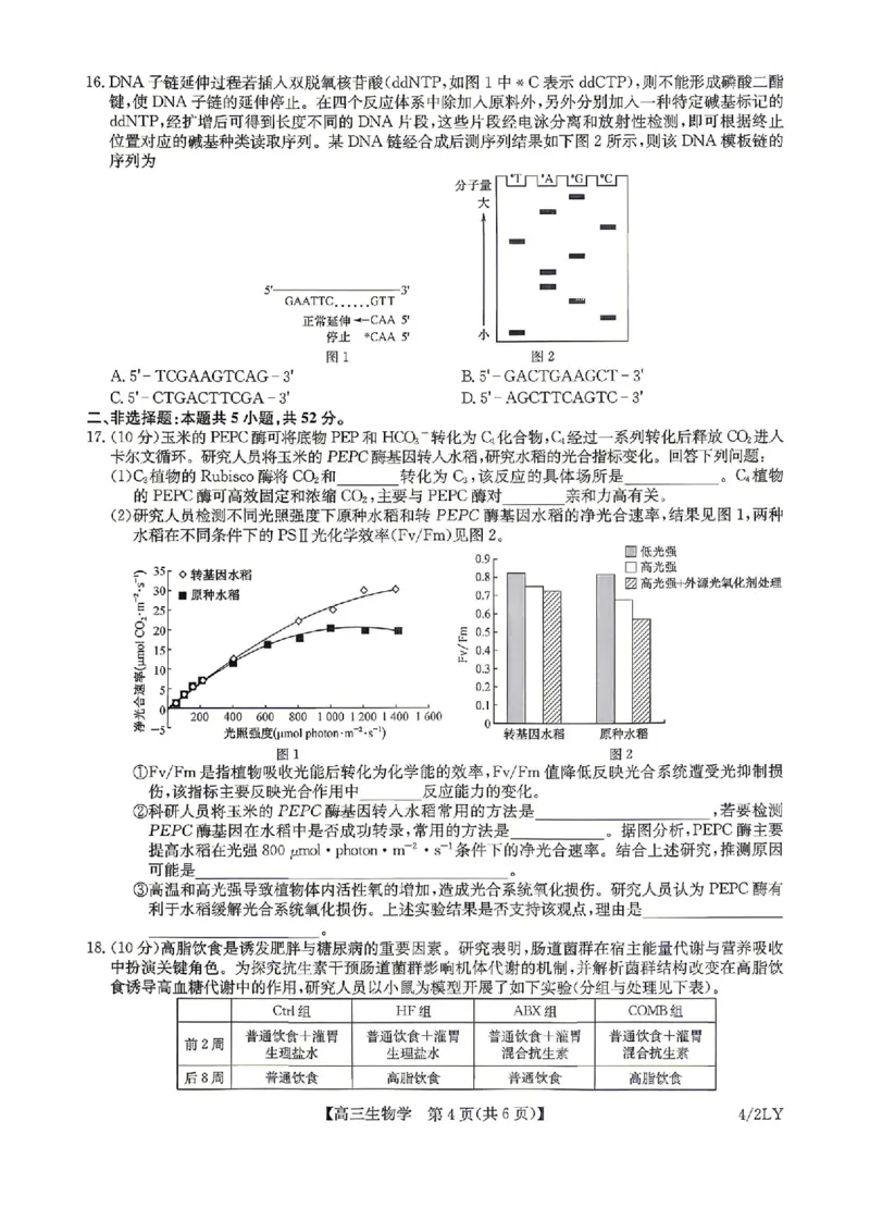 九师联盟2025-2026学年高三下学期4月27生物_2024-2026高三（6-6月题库）_2026年04月高三试卷_260429九师联盟2025-2026学年高三下学期4月27-28联考（全科）