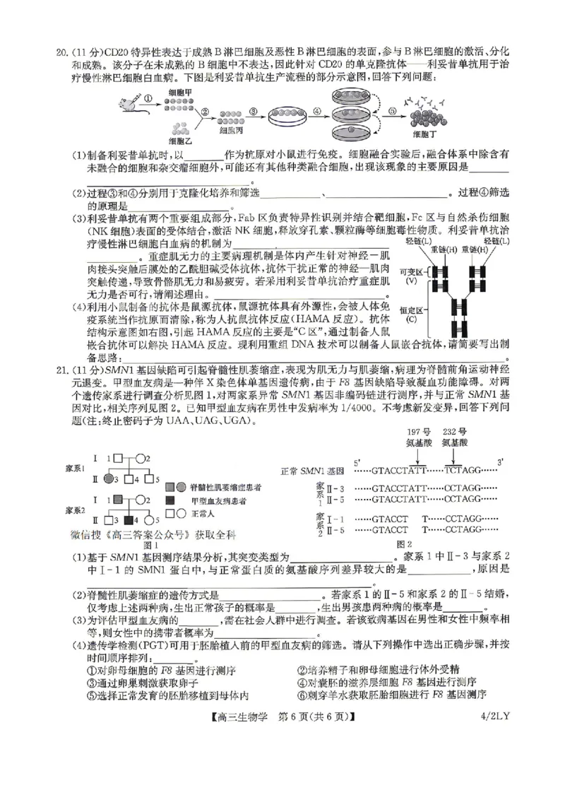 九师联盟2025-2026学年高三下学期4月27生物_2024-2026高三（6-6月题库）_2026年04月高三试卷_260429九师联盟2025-2026学年高三下学期4月27-28联考（全科）
