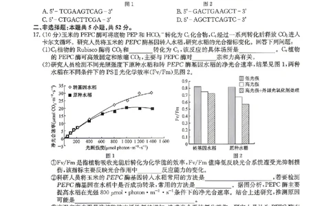 九师联盟2025-2026学年高三下学期4月27生物_2024-2026高三（6-6月题库）_2026年04月高三试卷_260429九师联盟2025-2026学年高三下学期4月27-28联考（全科）