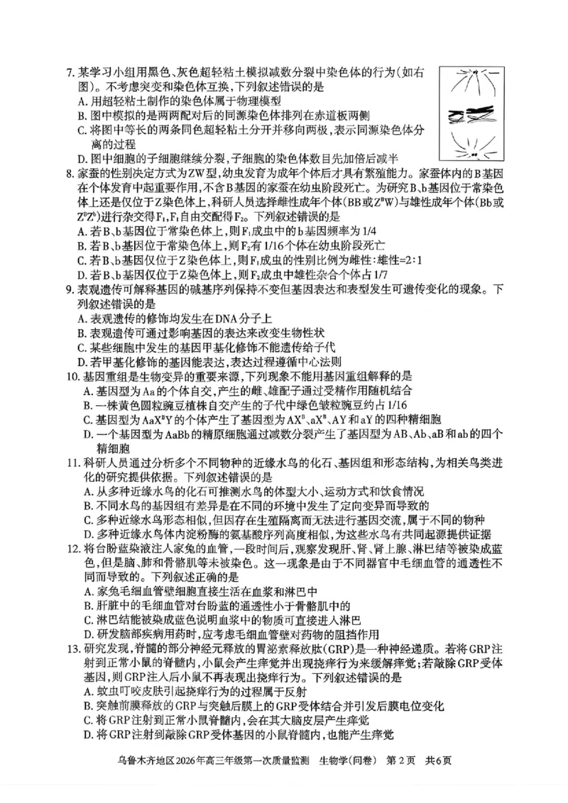 生物_2024-2026高三（6-6月题库）_2026年02月高三试卷_260201新疆乌鲁木齐地区2026年高三年级第一次质量监测（全科）_新疆乌鲁木齐地区2026年高三年级第一次质量监测生物