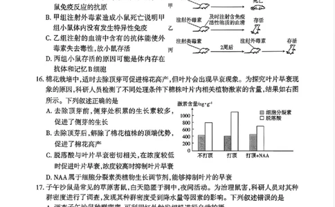 生物_2024-2026高三（6-6月题库）_2026年02月高三试卷_260201新疆乌鲁木齐地区2026年高三年级第一次质量监测（全科）_新疆乌鲁木齐地区2026年高三年级第一次质量监测生物
