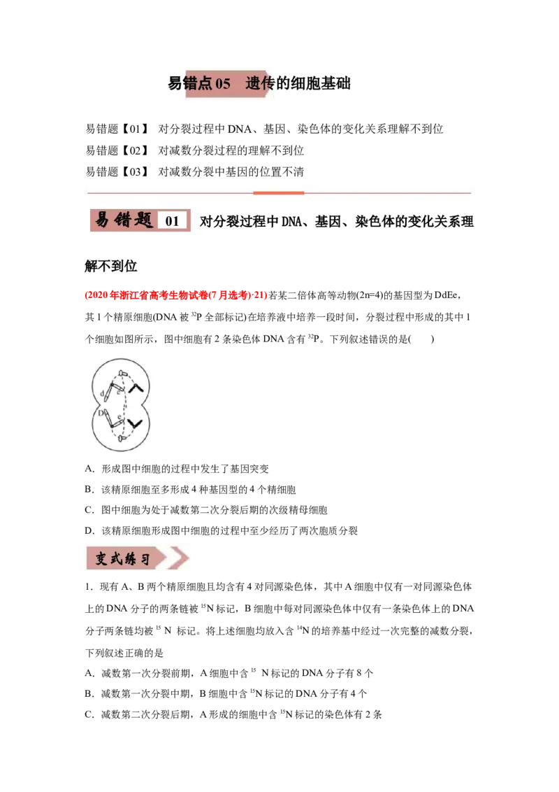 易错点05遗传的细胞基础-2021年高考生物一轮复习易错题（学生版）_新高考复习资料_2023年新高考复习资料_一轮复习_2023年新高考大一轮复习讲义_赠2021年高考生物一轮复习易错题