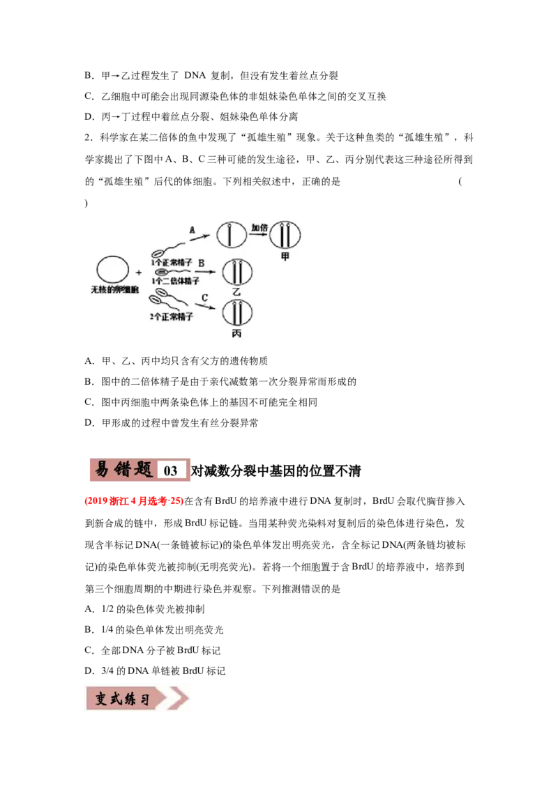 易错点05遗传的细胞基础-2021年高考生物一轮复习易错题（学生版）_新高考复习资料_2023年新高考复习资料_一轮复习_2023年新高考大一轮复习讲义_赠2021年高考生物一轮复习易错题