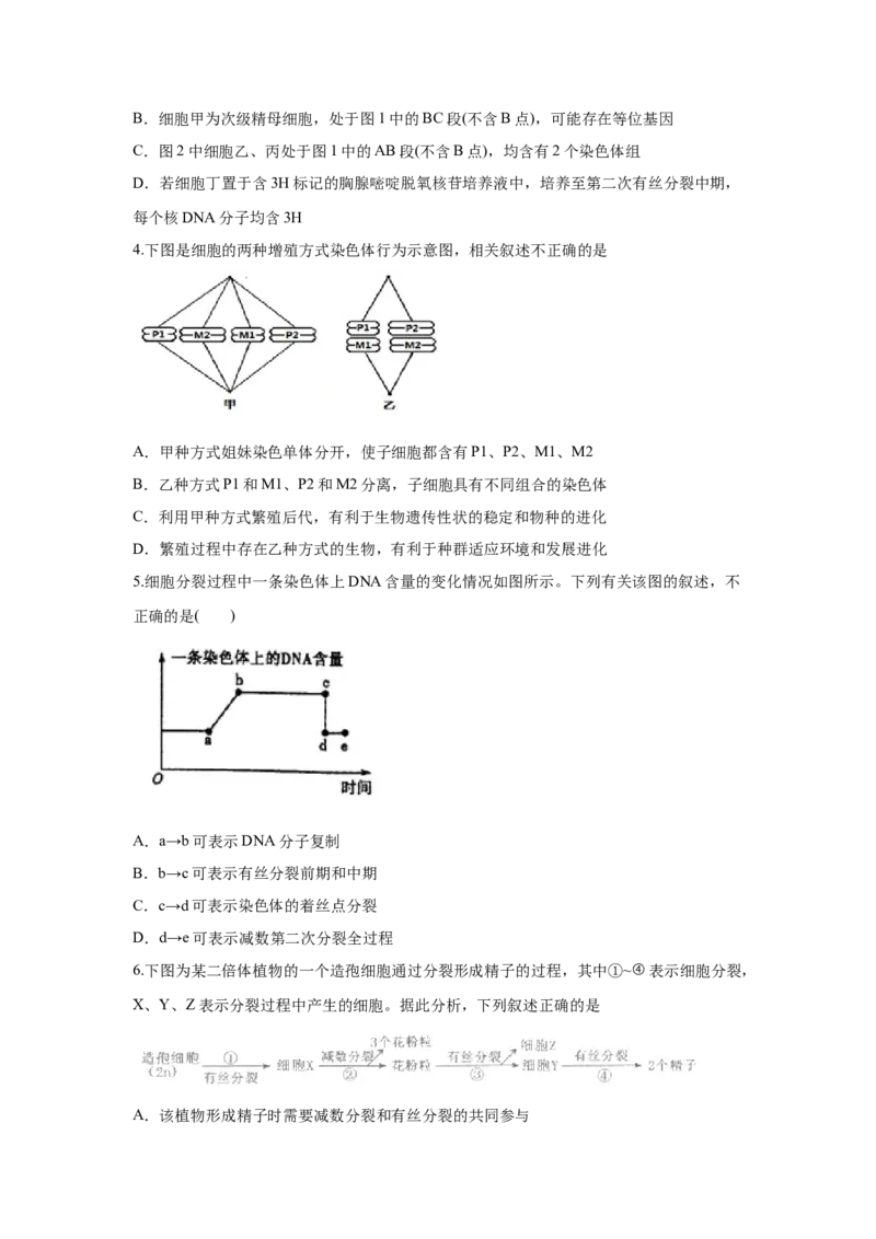 易错点05遗传的细胞基础-2021年高考生物一轮复习易错题（学生版）_新高考复习资料_2023年新高考复习资料_一轮复习_2023年新高考大一轮复习讲义_赠2021年高考生物一轮复习易错题