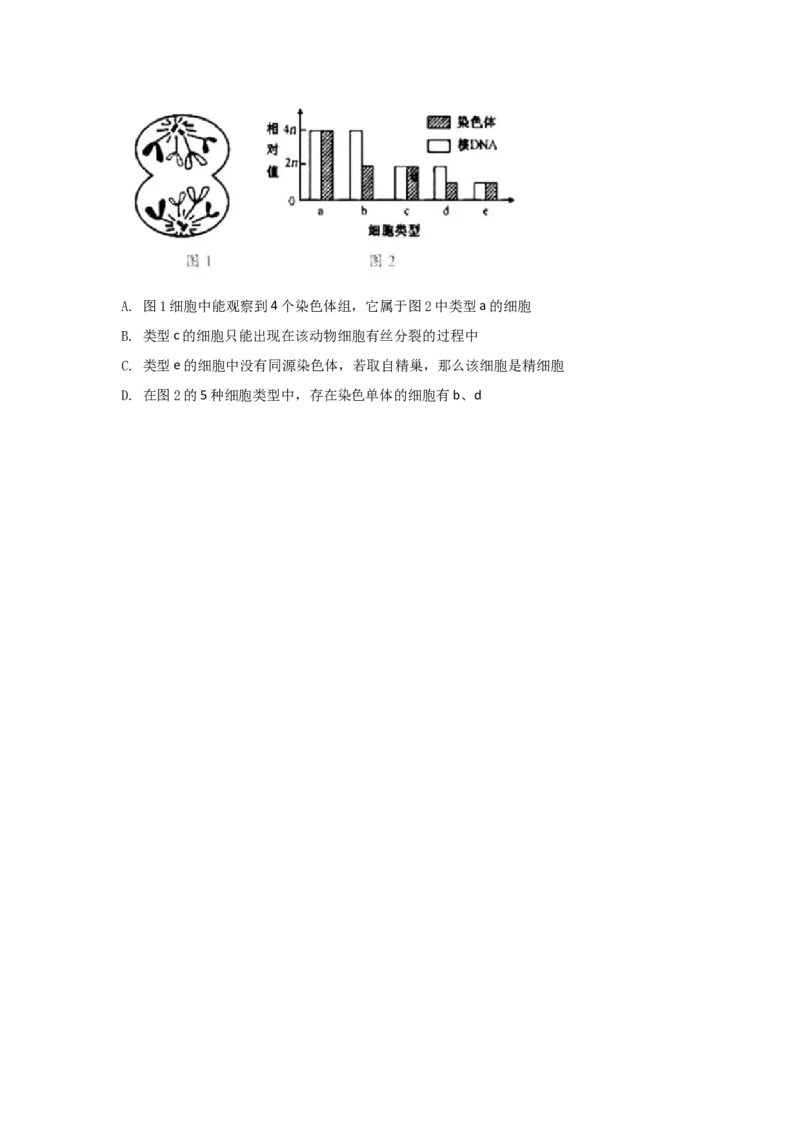 易错点05遗传的细胞基础-2021年高考生物一轮复习易错题（学生版）_新高考复习资料_2023年新高考复习资料_一轮复习_2023年新高考大一轮复习讲义_赠2021年高考生物一轮复习易错题
