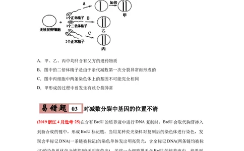 易错点05遗传的细胞基础-2021年高考生物一轮复习易错题（学生版）_新高考复习资料_2023年新高考复习资料_一轮复习_2023年新高考大一轮复习讲义_赠2021年高考生物一轮复习易错题