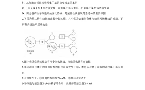 易错点05遗传的细胞基础-2021年高考生物一轮复习易错题（学生版）_新高考复习资料_2023年新高考复习资料_一轮复习_2023年新高考大一轮复习讲义_赠2021年高考生物一轮复习易错题
