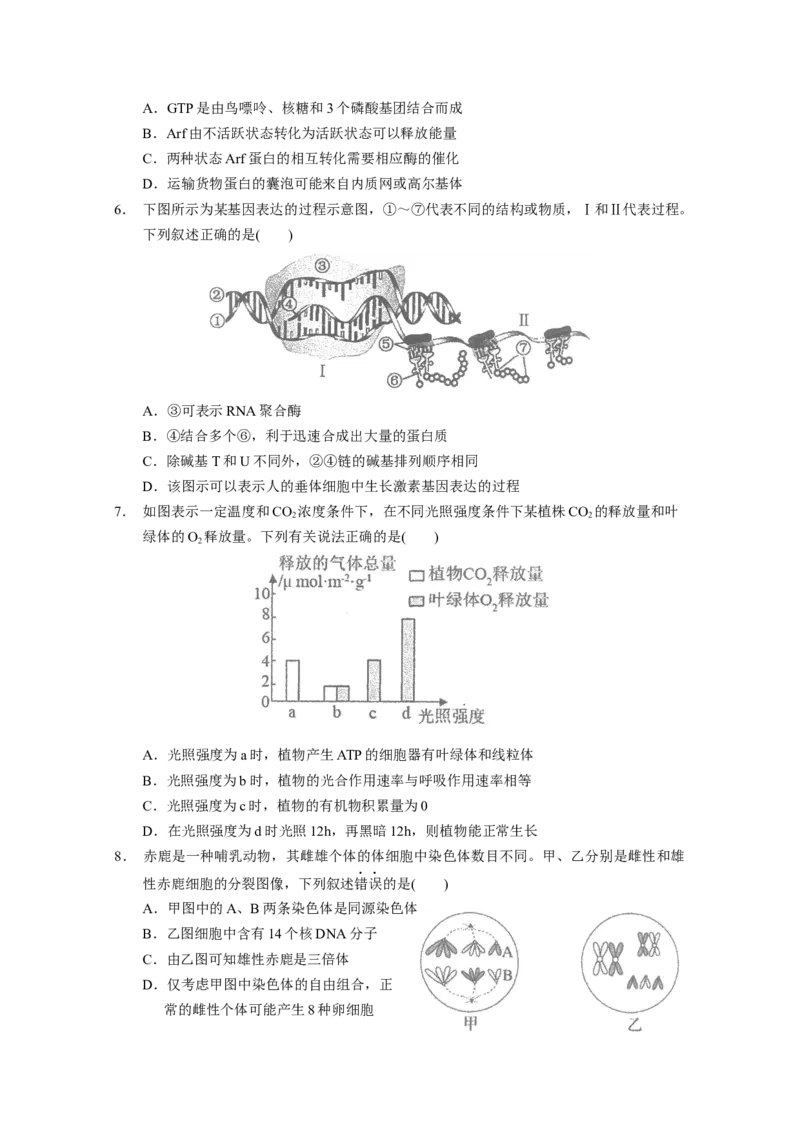 广东省汕头市金山中学2022&mdash;&mdash;2023学年高三上学期第二次月考生物试题_生物高考模拟题_新高考_2023年