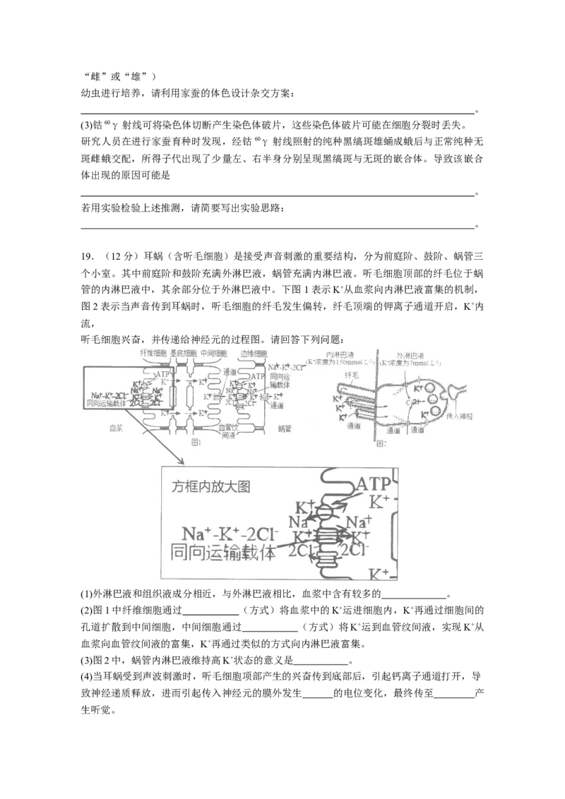 广东省汕头市金山中学2022&mdash;&mdash;2023学年高三上学期第二次月考生物试题_生物高考模拟题_新高考_2023年