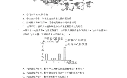 广东省汕头市金山中学2022&mdash;&mdash;2023学年高三上学期第二次月考生物试题_生物高考模拟题_新高考_2023年
