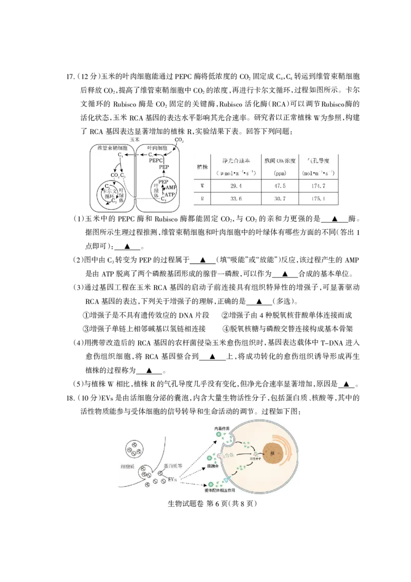 凉山州2026届高中毕业班第二次诊断性考试生物_2024-2026高三（6-6月题库）_2026年04月高三试卷_260403四川省凉山州2026届高中毕业班第二次诊断性考试（全科）