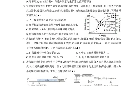 凉山州2026届高中毕业班第二次诊断性考试生物_2024-2026高三（6-6月题库）_2026年04月高三试卷_260403四川省凉山州2026届高中毕业班第二次诊断性考试（全科）