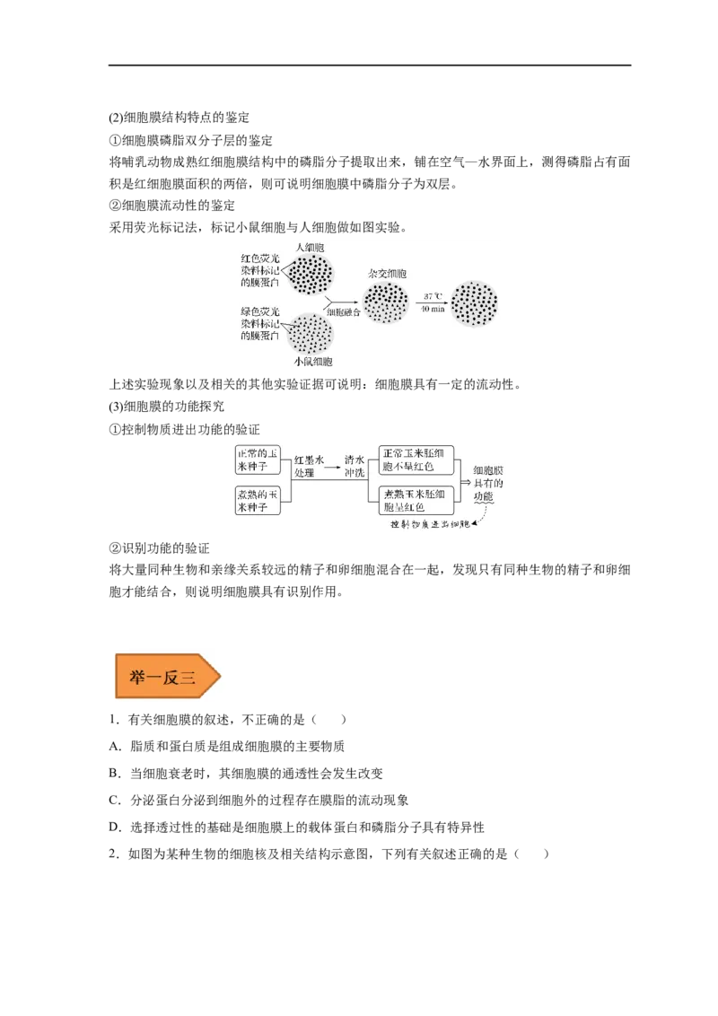 易错点03细胞膜与细胞核的结构与功能-备战2023年高考生物考试易错题（新教材新高考）（原卷版）_新高考复习资料_2023年新高考复习资料_专项复习