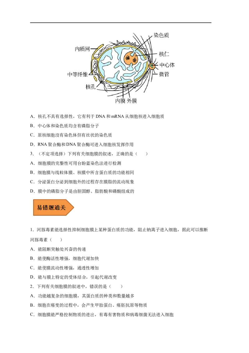 易错点03细胞膜与细胞核的结构与功能-备战2023年高考生物考试易错题（新教材新高考）（原卷版）_新高考复习资料_2023年新高考复习资料_专项复习