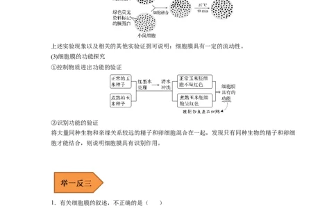 易错点03细胞膜与细胞核的结构与功能-备战2023年高考生物考试易错题（新教材新高考）（原卷版）_新高考复习资料_2023年新高考复习资料_专项复习