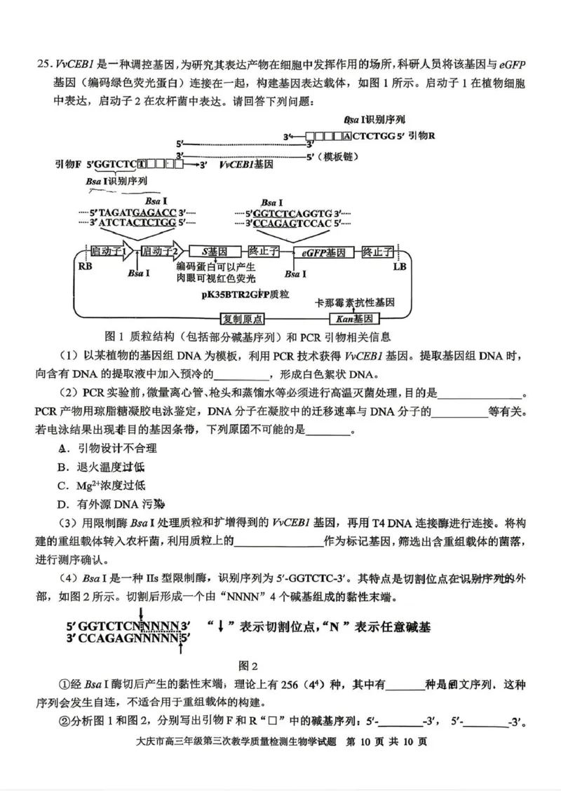 大庆市2026届高三年级第三次教学质量检测生物+答案_2024-2026高三（6-6月题库）_2026年04月高三试卷_260419黑龙江大庆市2026届高三年级第三次教学质量检测(全科）