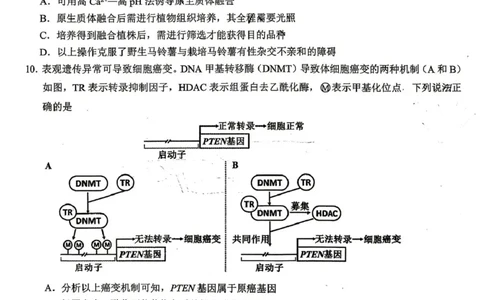 大庆市2026届高三年级第三次教学质量检测生物+答案_2024-2026高三（6-6月题库）_2026年04月高三试卷_260419黑龙江大庆市2026届高三年级第三次教学质量检测(全科）