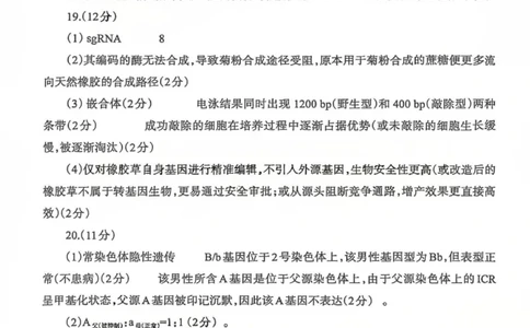 生物答案_2024-2026高三（6-6月题库）_2026年03月高三试卷_260320四川省德阳市高中2023级第二次诊断考试（德阳二诊）（全科）