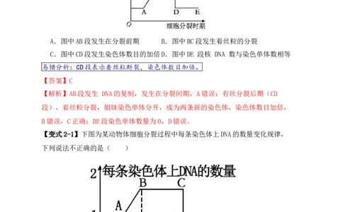 易错点06细胞增殖的&ldquo;四个&rdquo;陷阱（解析版）_新高考复习资料_2024年新高考复习资料_❤专项复习资料_完备战2024年高考生物考试易错题（新高考专用）_教师版（含答案解析）