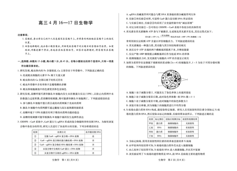 合肥市第六中学等学校2026届高三4月16&mdash;17日联考生物_2024-2026高三（6-6月题库）_2026年04月高三试卷_260420安徽省合肥市第六中学等学校2026届高三4月16&mdash;17日联考（全科）