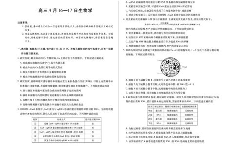 合肥市第六中学等学校2026届高三4月16&mdash;17日联考生物_2024-2026高三（6-6月题库）_2026年04月高三试卷_260420安徽省合肥市第六中学等学校2026届高三4月16&mdash;17日联考（全科）