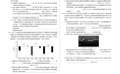 合肥市第六中学等学校2026届高三4月16&mdash;17日联考生物_2024-2026高三（6-6月题库）_2026年04月高三试卷_260420安徽省合肥市第六中学等学校2026届高三4月16&mdash;17日联考（全科）