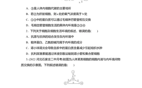夯基提能练24人体的内环境与稳态-备战2023高考生物一轮复习夯基提能练（全国通用）（解析版）_通用版（老高考）复习资料_2023年复习资料_一轮复习