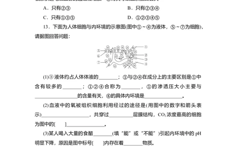 夯基提能练24人体的内环境与稳态-备战2023高考生物一轮复习夯基提能练（全国通用）（解析版）_通用版（老高考）复习资料_2023年复习资料_一轮复习