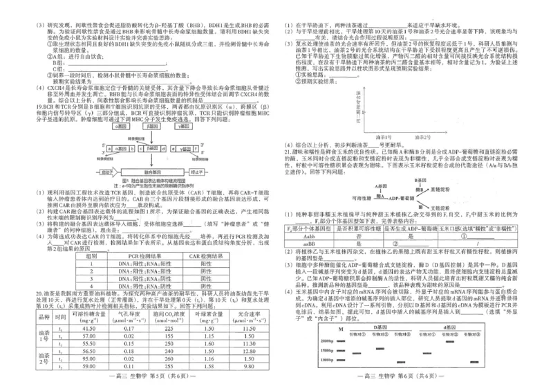 江西省南昌市2026届高三年级四月检测生物试题江西省南昌市2026届高三年级四月检测生物试题_2024-2026高三（6-6月题库）_2026年04月高三试卷
