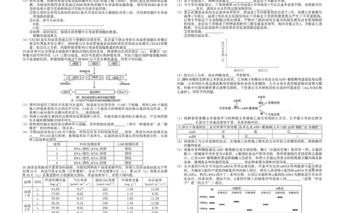 江西省南昌市2026届高三年级四月检测生物试题江西省南昌市2026届高三年级四月检测生物试题_2024-2026高三（6-6月题库）_2026年04月高三试卷
